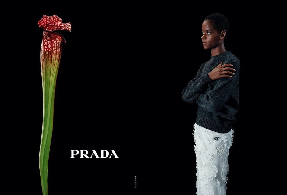 Fashion editorial shot of an African woman with a Prada sweater, skirt, and Sarracenia plant against a dark background.