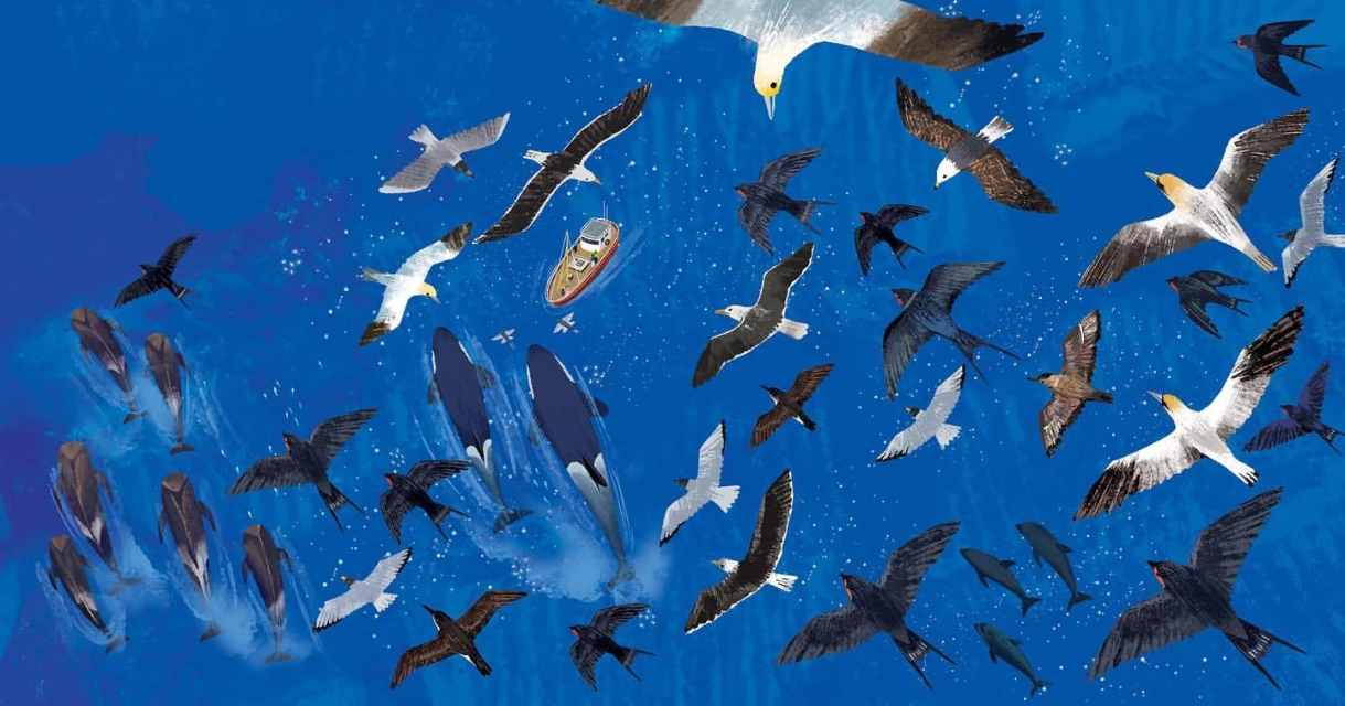 Illustration depicting a boat sailing on the ocean amidst orca whales and numerous seabirds soaring in the sky, created with digital art.