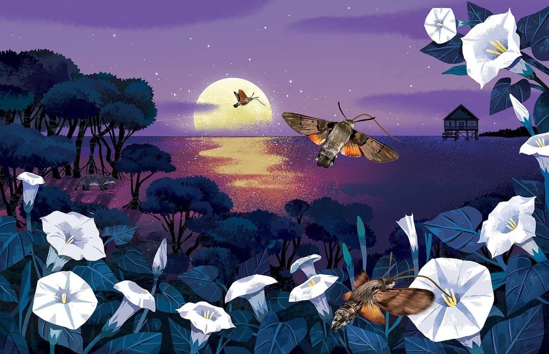 Whimsical illustration of moths flying over a moonlit ocean with trees, white flowers, and a stilt house in the background.