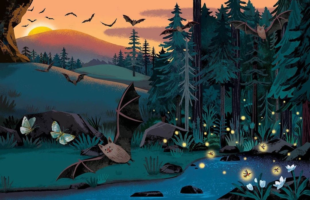 Illustration of bats flying above a forest with a river, butterflies, and a sunset in the background, creating a whimsical nighttime scene.