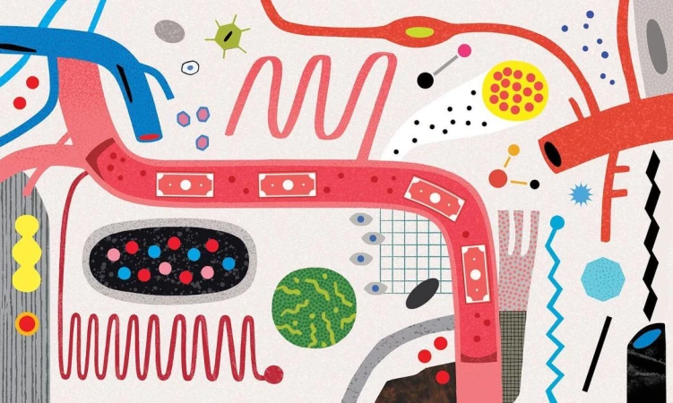 Abstract medical illustration with organic shapes, lines, and cellular elements on a white textured background, suitable for healthcare content.