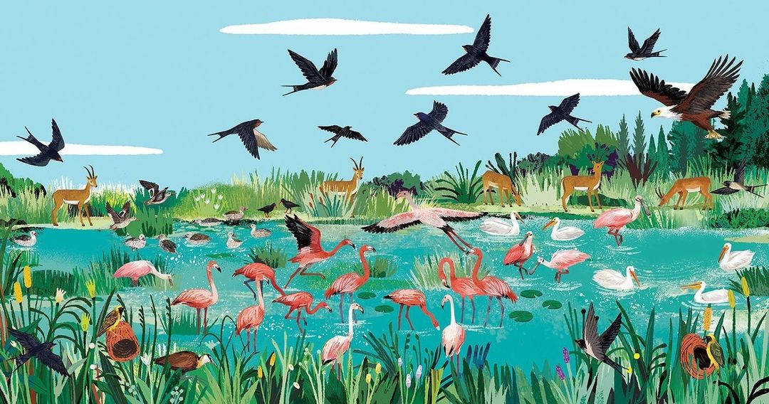 Illustration of many bird and animal species in a marsh environment with various birds flying over a body of water.