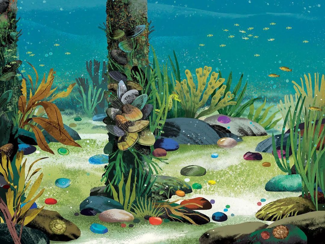 Illustration of underwater scene with rocks, plants, and a small group of fish swimming in the distance in the background.
