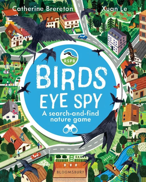 Illustration of a book cover for 'Birds Eye Spy' featuring a bird's-eye view of a town with birds flying above.