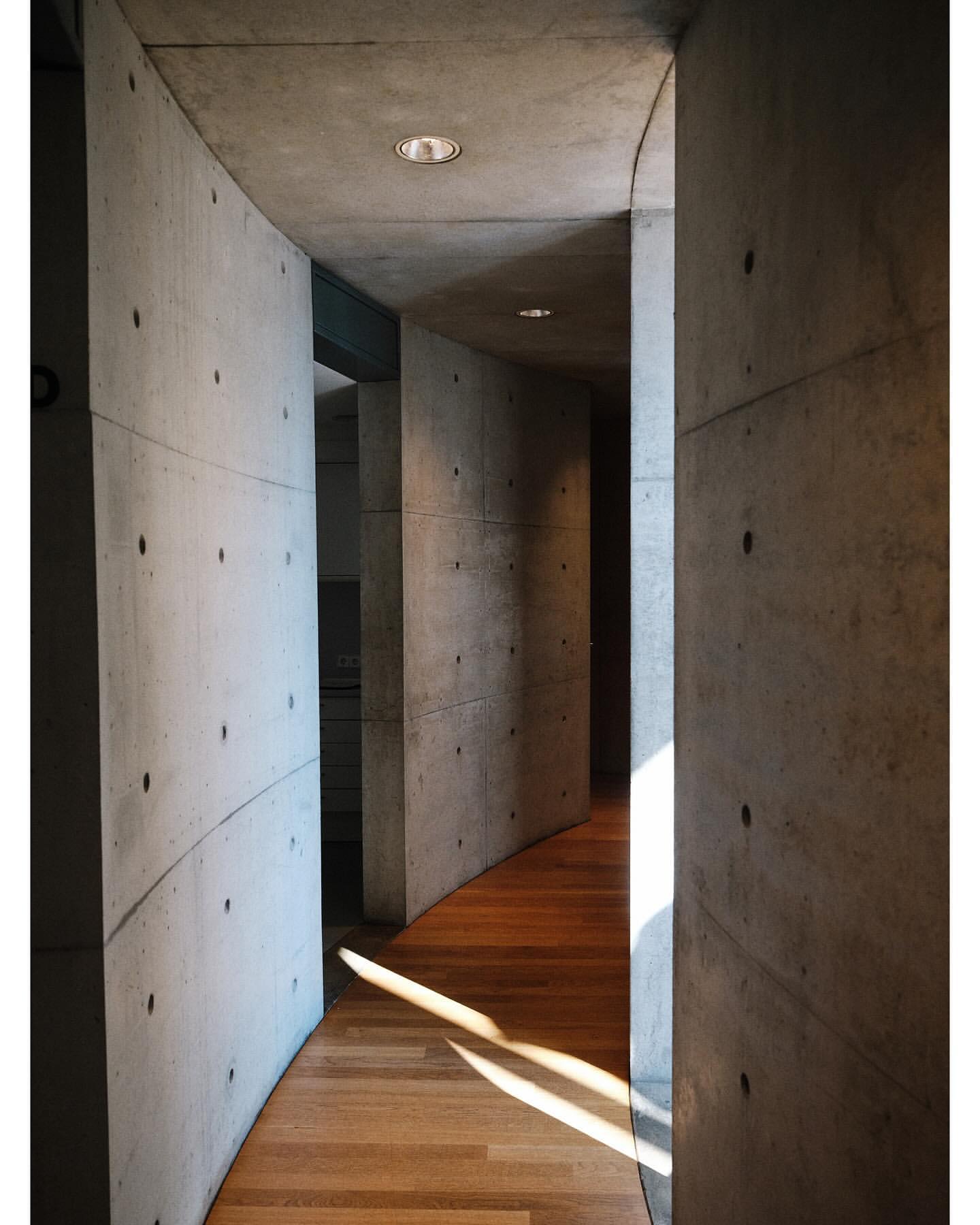 Minimalist interior featuring a curved concrete wall hallway with a light wood floor and natural light filtering through the corridor.