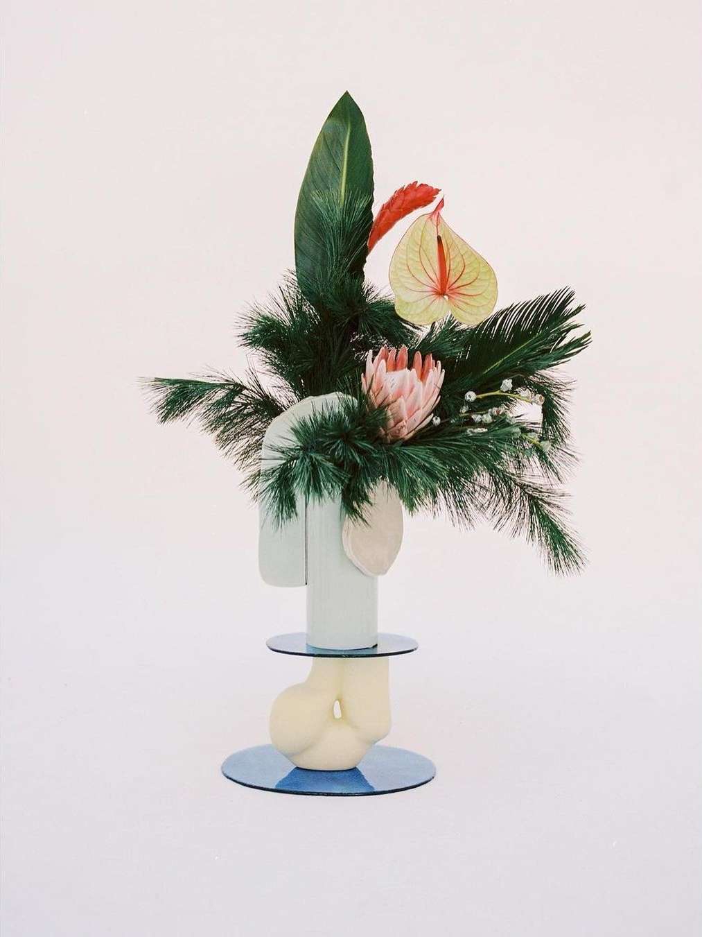 Still life of anthurium, protea, and greenery in a modern vase with blue accents against a light background in an indoor setting.