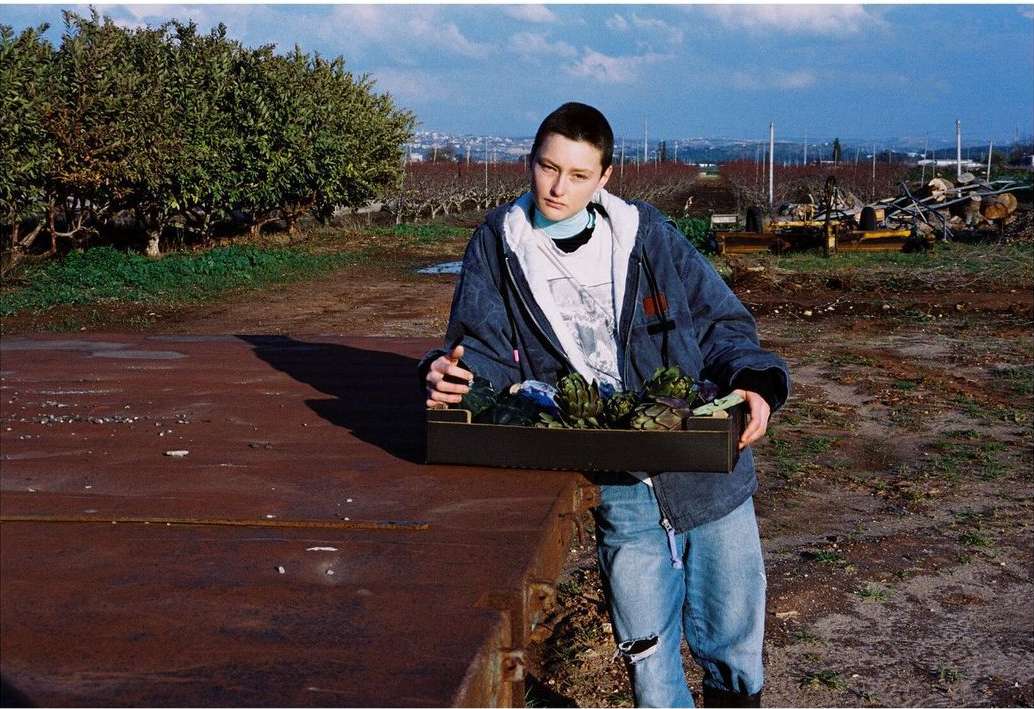 An adult holds a tray of artichokes outdoors on a sunny day, standing on a rusty metal surface, with trees and a distant city view.
