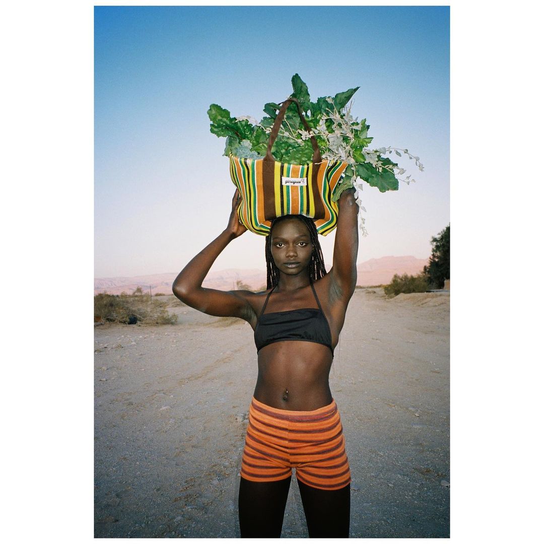 Adult female with braided hair carries striped tote filled with plants on her head in an outdoor desert setting under a clear sky.