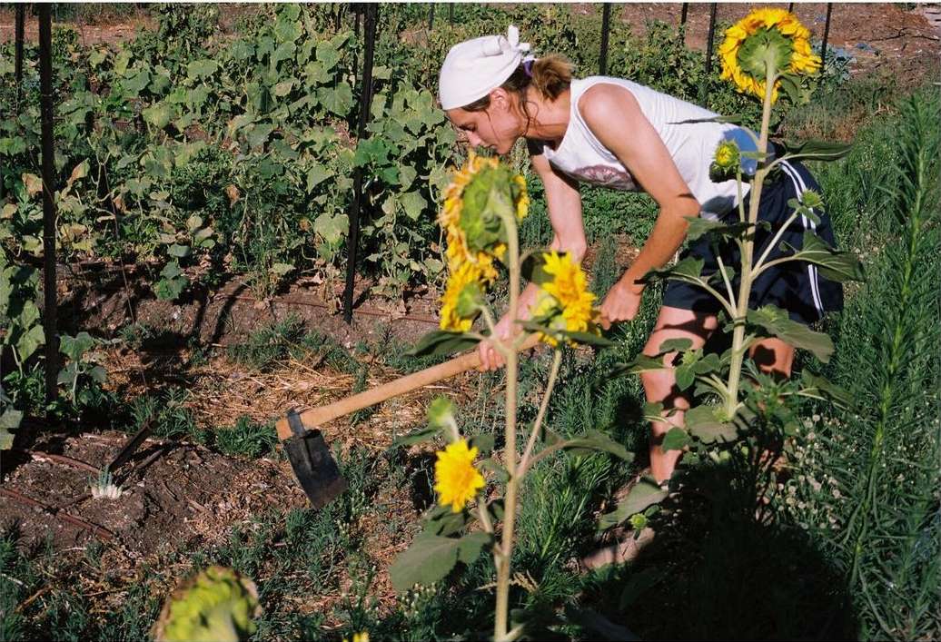 Woman gardening in an overgrown garden with a hoe, wearing a headscarf, white tank top, and blue shorts; bright sunlight.