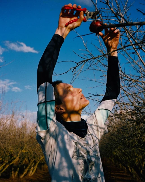 Adult is pruning branches of a fruit tree with a red-handled pruner under a blue sky, surrounded by rows of shrubbery in an outdoor orchard.