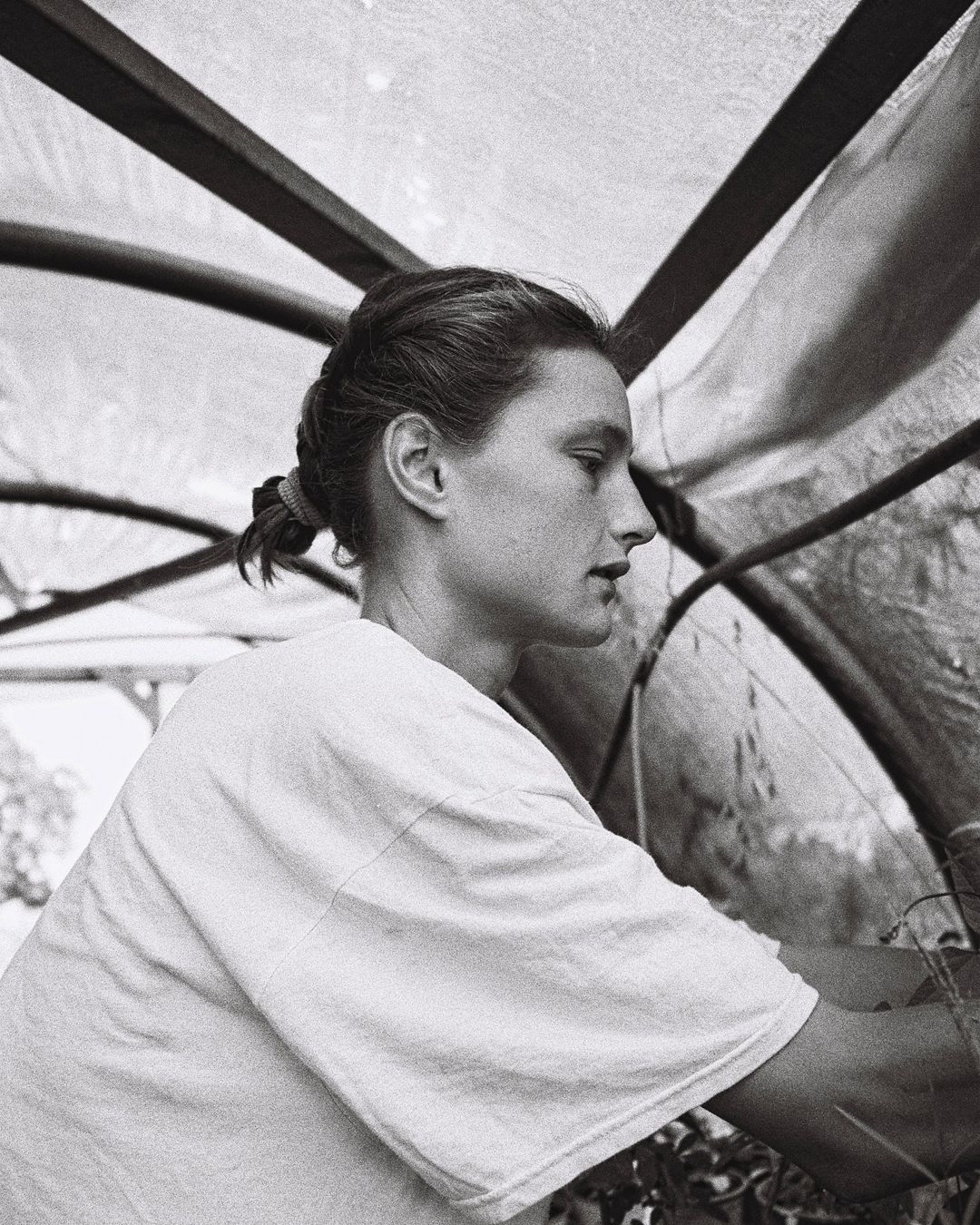 Woman tending to plants inside of a greenhouse, portrait view. The greenhouse has a translucent roof and the image is in black and white.