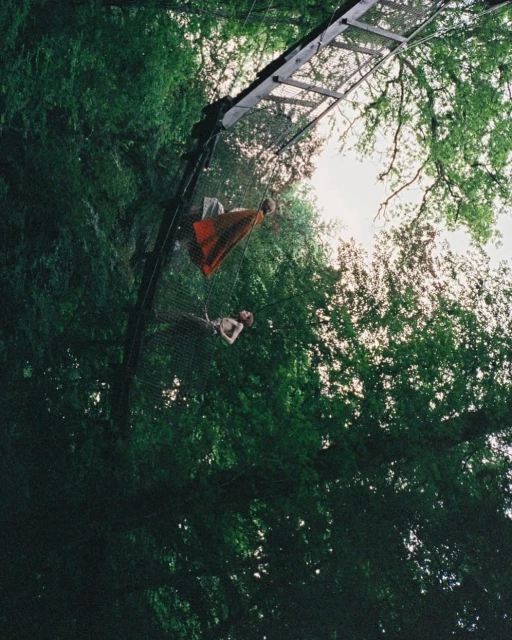 Two individuals suspended in a net high above the forest floor, attached to a structure, showcasing a blend of recreation and nature.