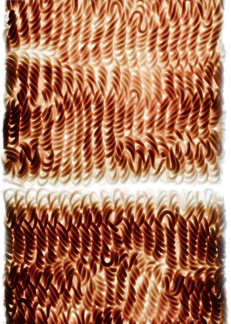 Close-up top-down shot of neatly arranged uncooked rotini pasta displaying a rich, reddish-brown color against a bright, white background.