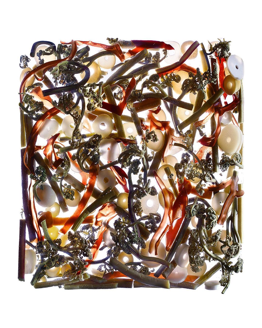 Overhead shot of amber, white, and green organic materials organized in square format on white background. Abstract food art.