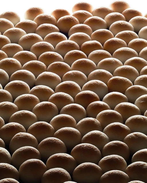 Uniform arrangement of many soft dinner rolls, beautifully backlit with warm light and shadows, creating a visually appealing food pattern.
