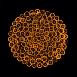Circular arrangement of glowing orange spherical organisms or cell-like structures against a solid black background.