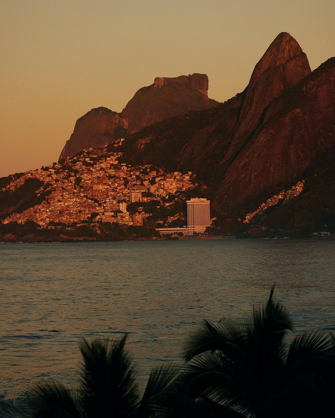 Coastal view featuring Sugarloaf Mountain and Rio de Janeiro architecture during warm sunset lighting, with water in foreground and silhouetted trees.