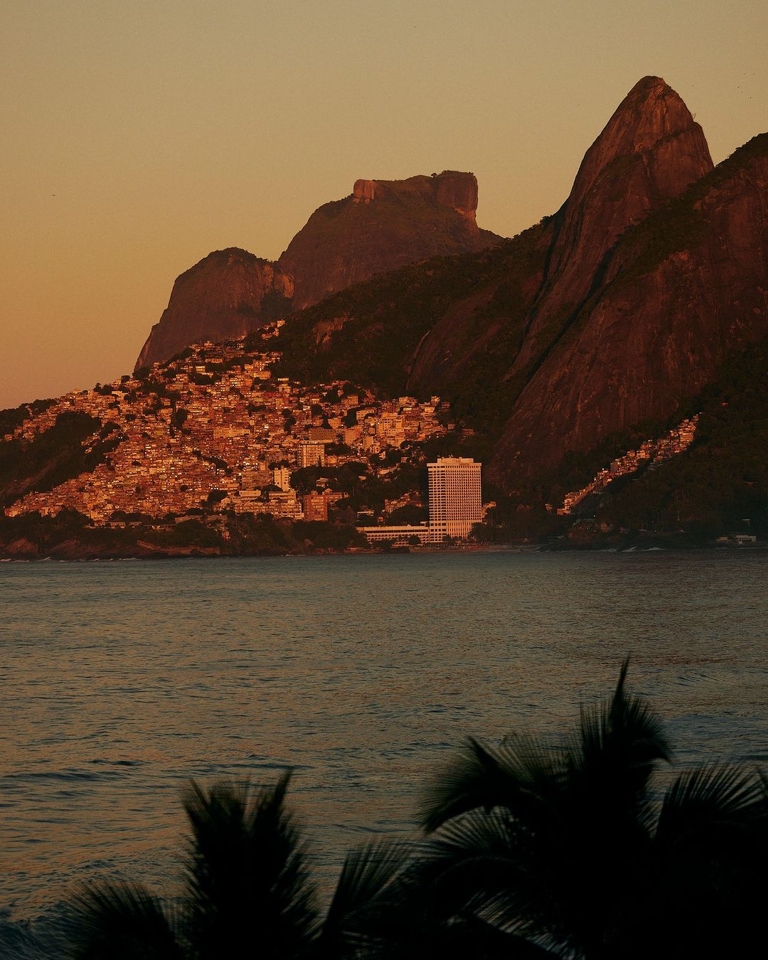 Sunset view of Rio de Janeiro featuring mountains, a coastline, buildings, and palm trees in the foreground, creating a tranquil scene.