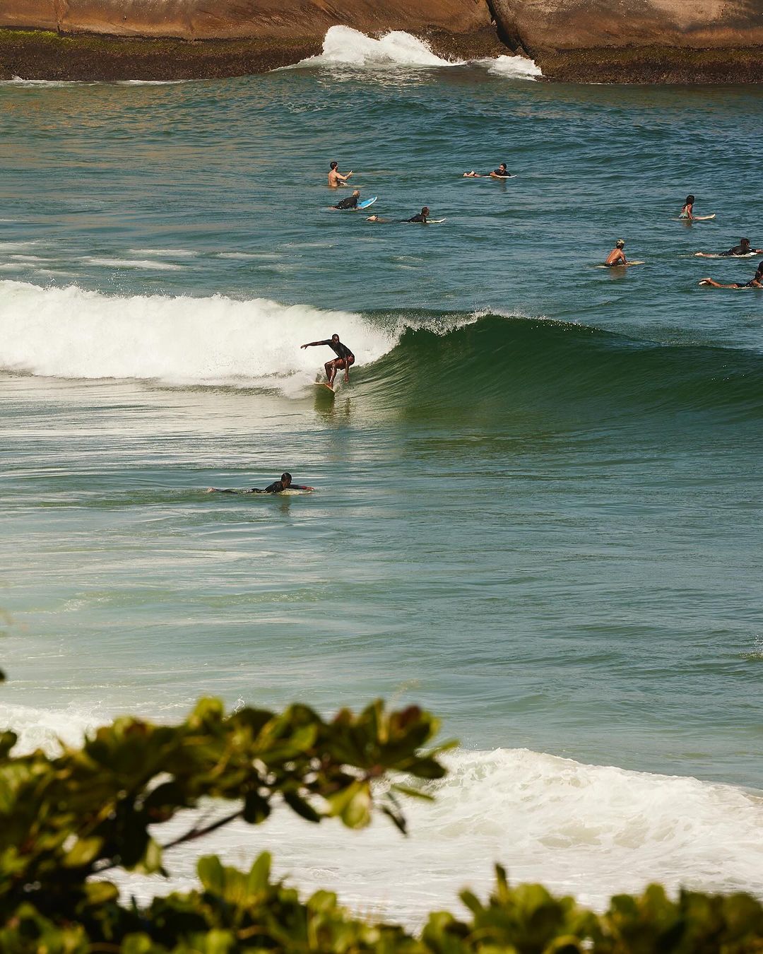 Surfer rides a wave on a sunny day at the beach. Water and other surfers visible in the background. Green leaves in foreground.