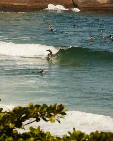 Surfer rides a wave on a sunny day at the beach. Water and other surfers visible in the background. Green leaves in foreground.
