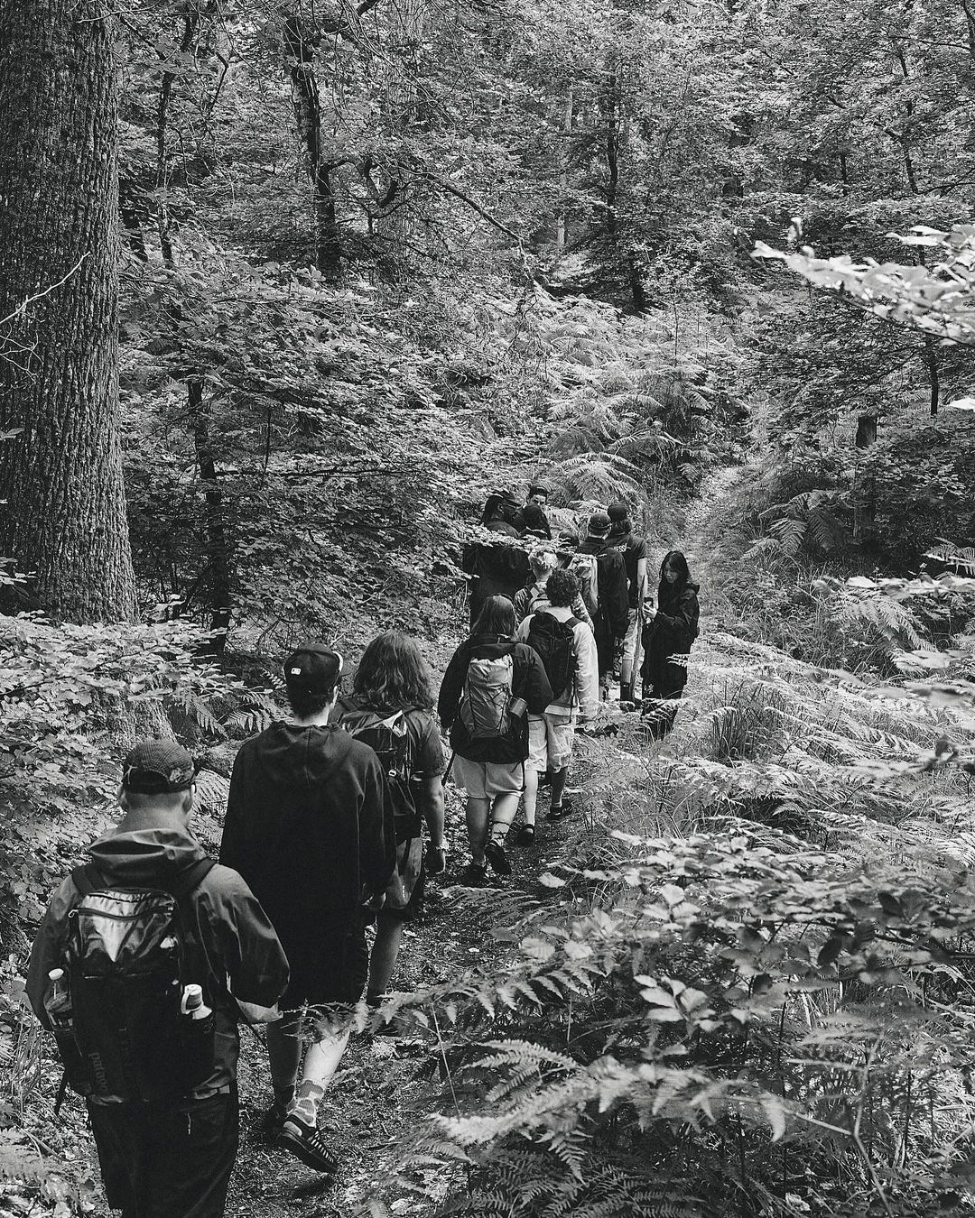 Group of people hiking on a wooded path, trees and ferns line the trail in black and white, creating a natural setting.