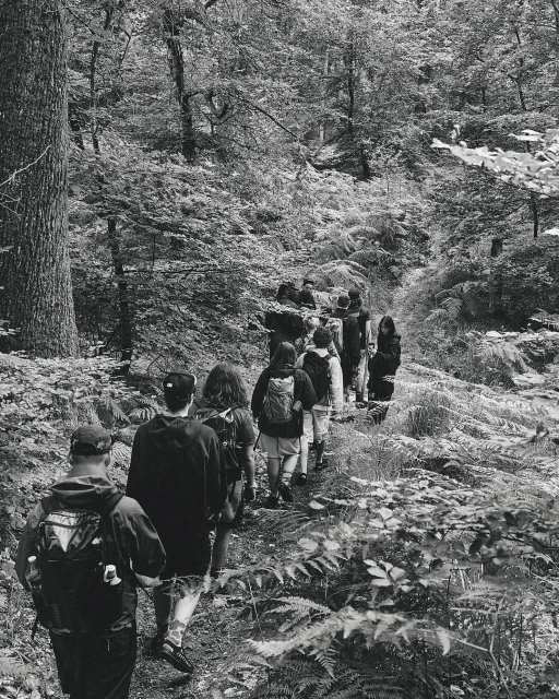 Group of people hiking on a wooded path, trees and ferns line the trail in black and white, creating a natural setting.