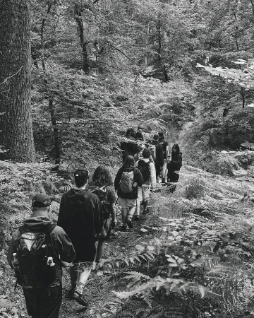 Group of people hiking on a wooded path, trees and ferns line the trail in black and white, creating a natural setting.