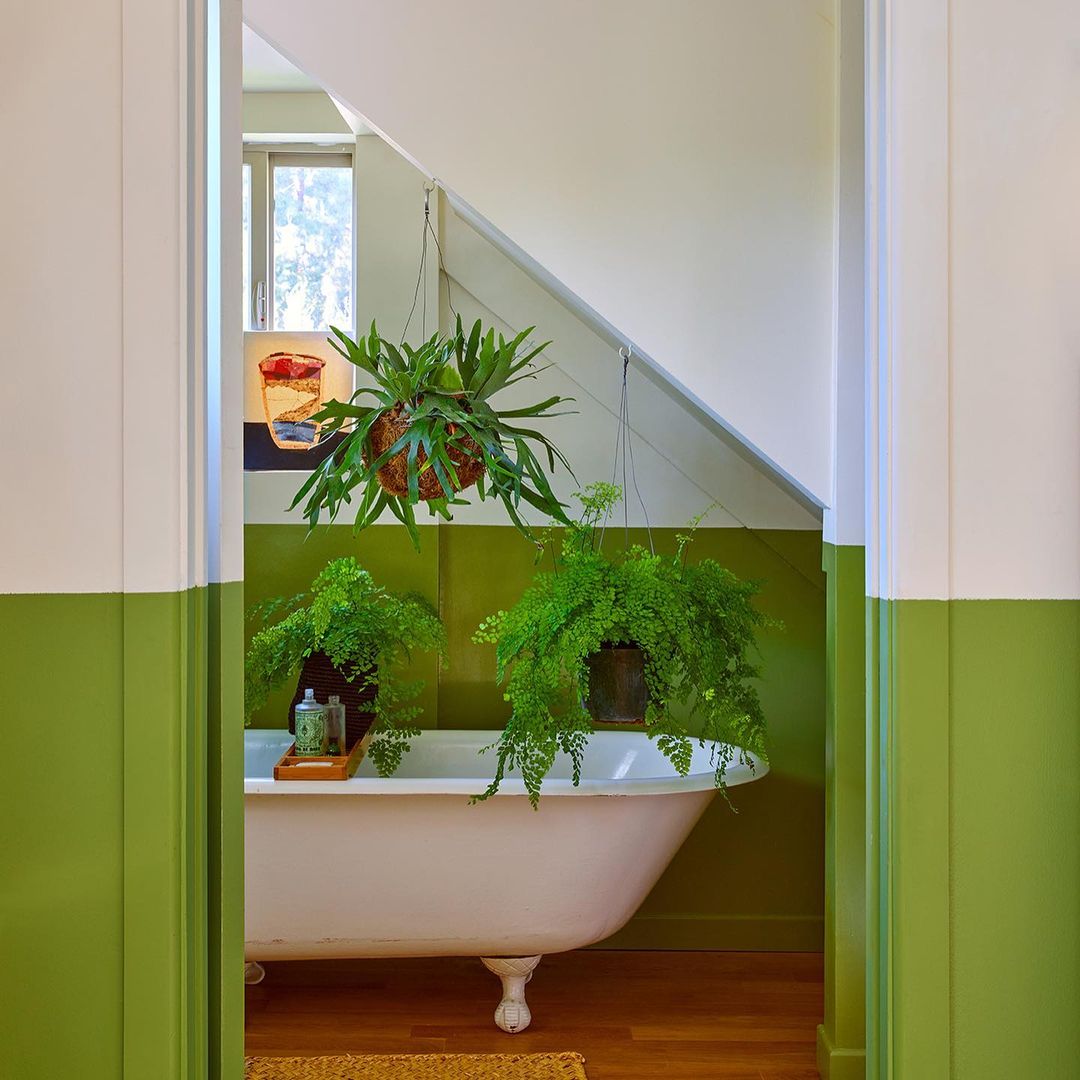 Bathroom interior featuring a vintage clawfoot bathtub adorned with greenery, hanging ferns, and a spa-like ambiance with olive green walls.