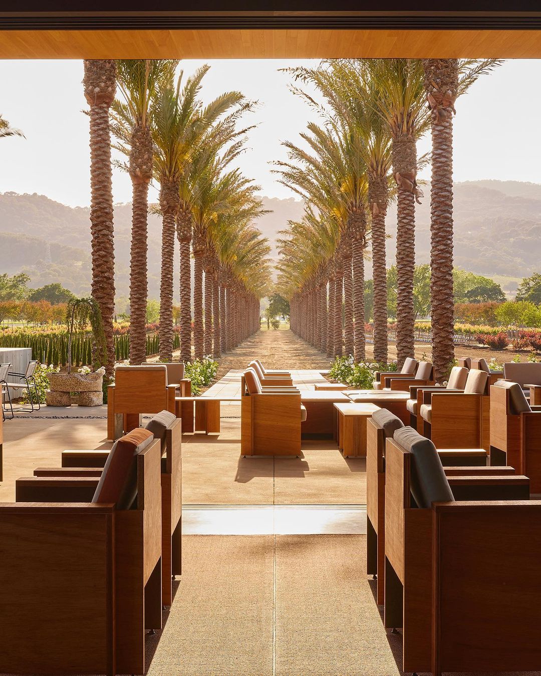 Outdoor patio with wood furniture and long pathway lined with tall palm trees leading to distant landscape, bathed in warm sunlight.