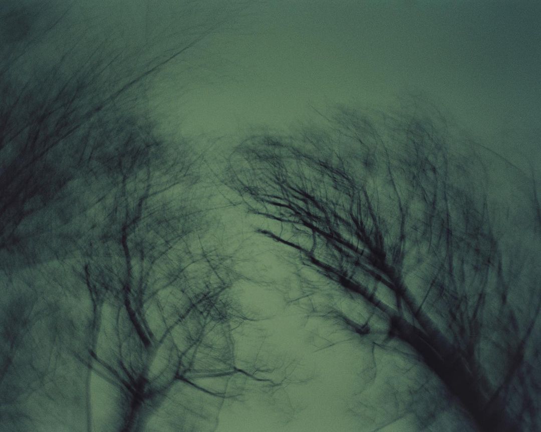 Abstract view of bare tree branches against an overcast sky, captured with motion blur technique creating a dreamlike effect.