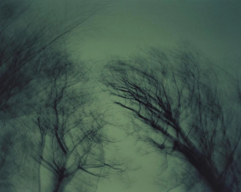 Abstract view of bare tree branches against an overcast sky, captured with motion blur technique creating a dreamlike effect.