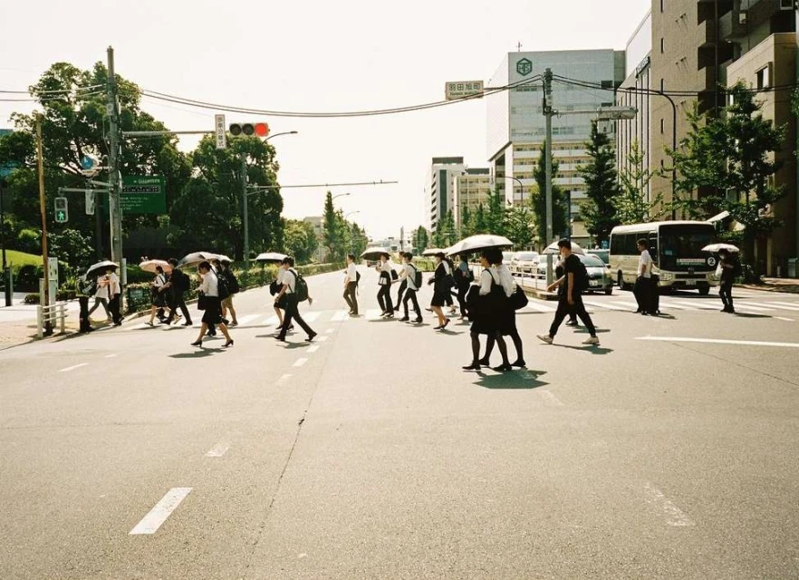 A group of people crossing a street in an urban environment on a bright day, many holding umbrellas, near buildings and trees.
