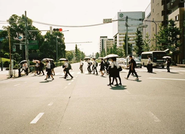 A group of people crossing a street in an urban environment on a bright day, many holding umbrellas, near buildings and trees.