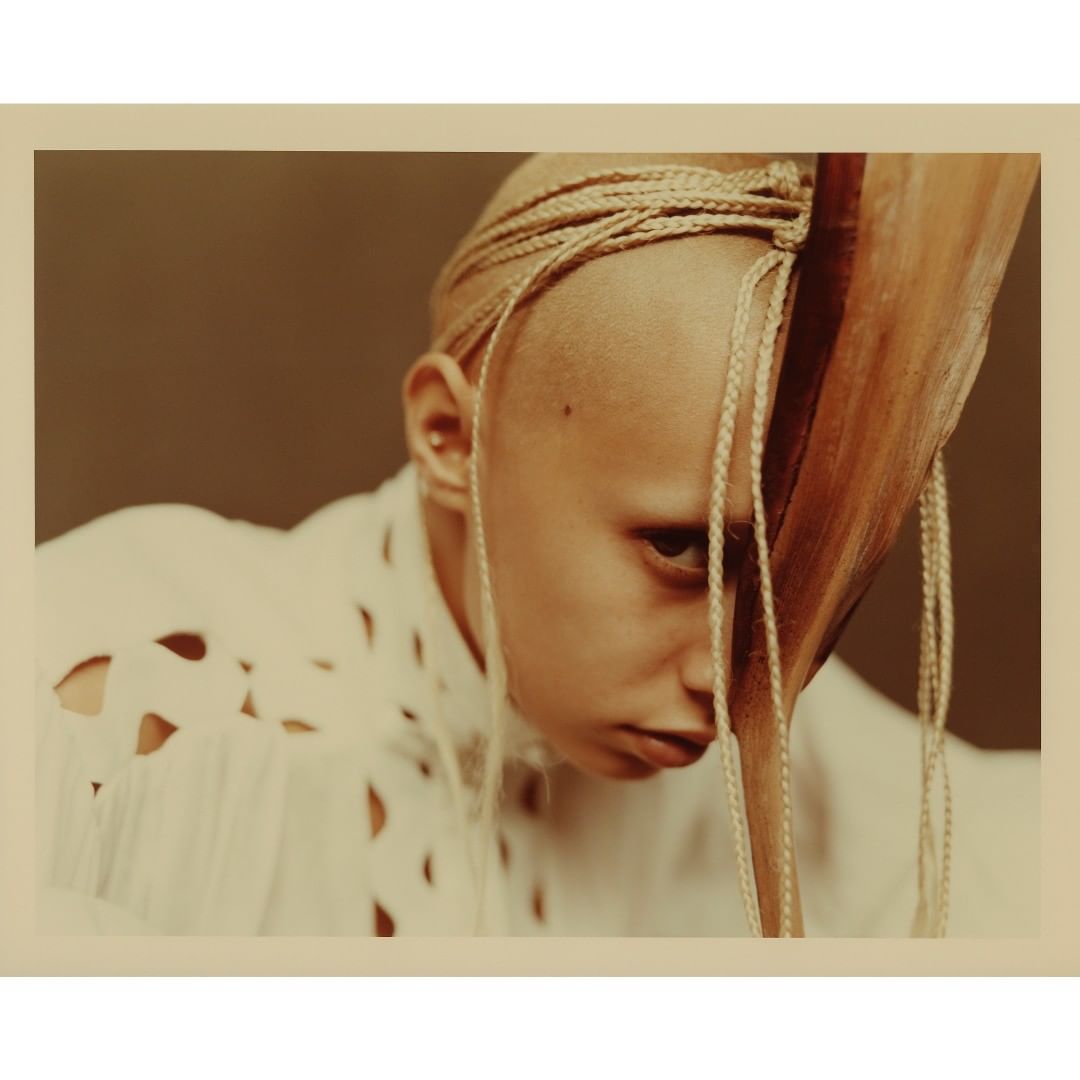 Striking portrait of a bald adult woman with braided hair accents, wearing a white patterned top and partially obscured by a palm leaf.