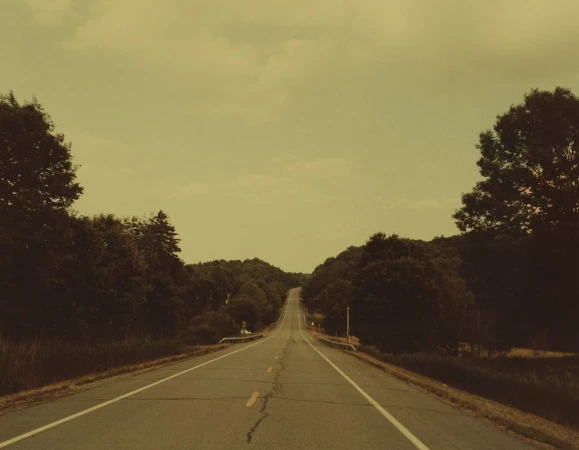 Straight asphalt road stretches into the distance, framed by green trees and a light sky on a clear day, promoting a peaceful scene.
