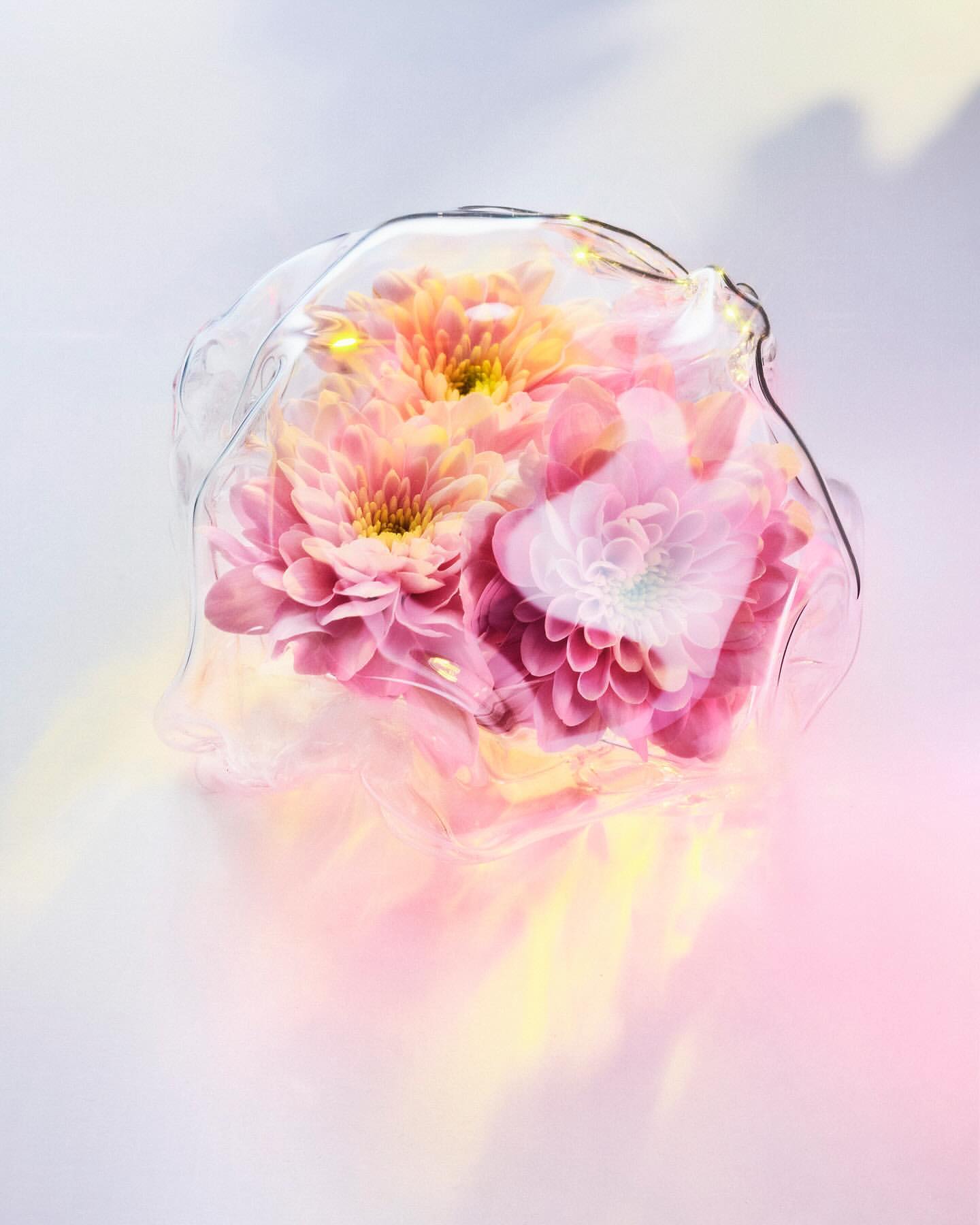 Floral arrangement in a clear glass container featuring pink and peach-colored dahlia flowers, illuminated with string lights, on a soft background.