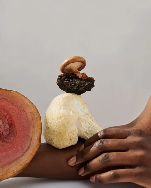 A person's arm holds a stacked arrangement of mushrooms, featuring shiitake, lion's mane, and black truffle types, set against a neutral background.