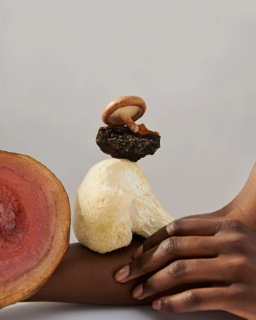 A person's arm holds a stacked arrangement of mushrooms, featuring shiitake, lion's mane, and black truffle types, set against a neutral background.