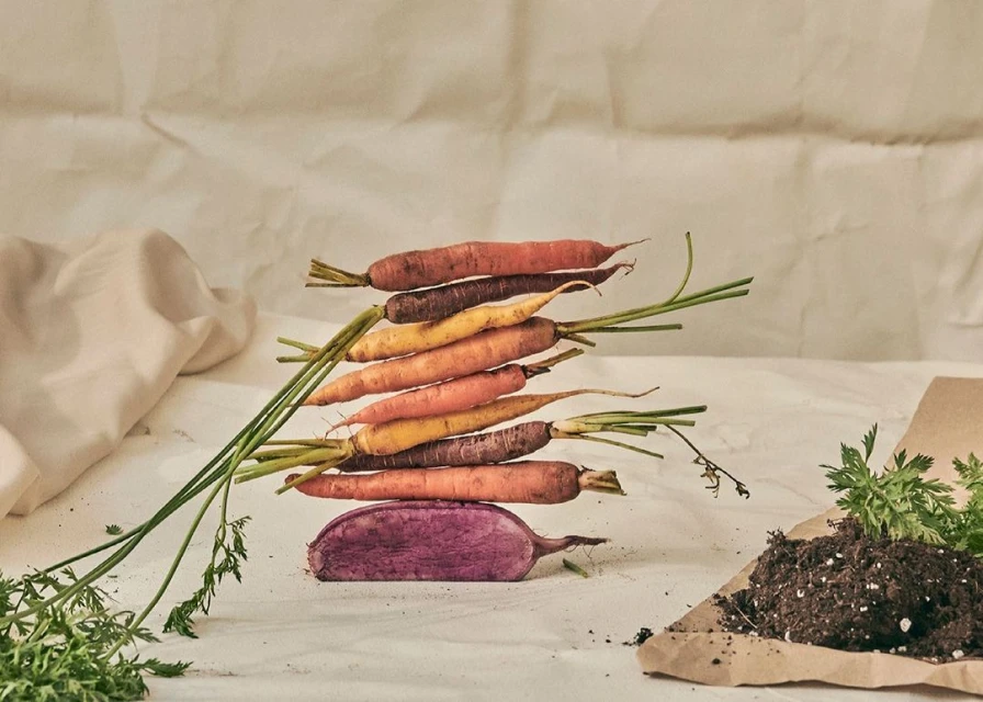 Stack of colorful heirloom carrots on a white surface, with carrot greens and soil in a conceptual arrangement. Food photography.