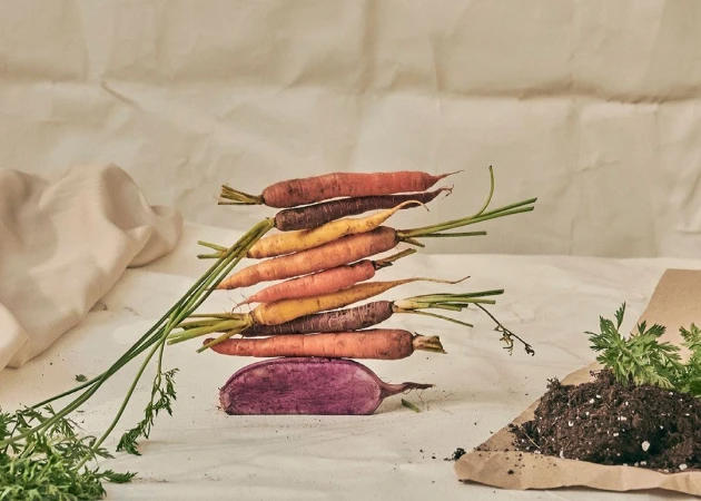 Stack of colorful heirloom carrots on a white surface, with carrot greens and soil in a conceptual arrangement. Food photography.