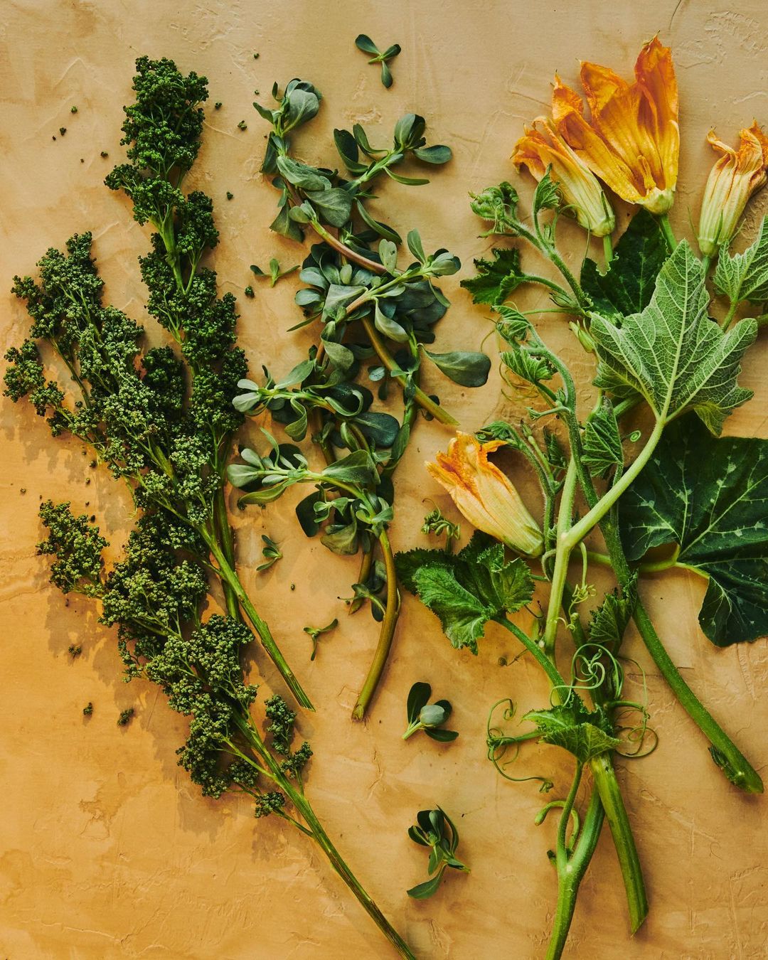 Overhead shot of fresh green vegetables and yellow flowers artfully arranged on a textured beige surface, ideal for a food blog.