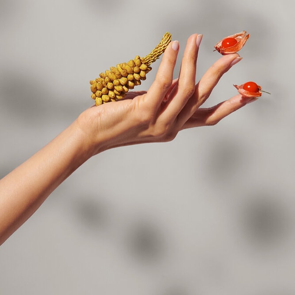 Hand holding yellow flower cone and two bladder cherry fruit against gray background in studio lighting showcases product beauty.