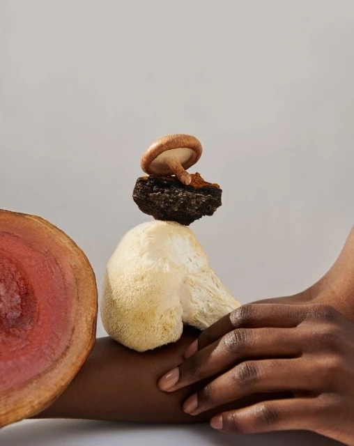 Still life food photography featuring various types of mushrooms stacked together, with a person's arm and hand visible in the composition.