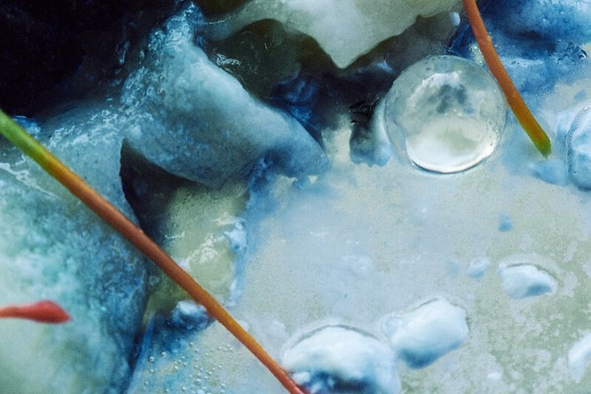 Abstract photograph of a water droplet surrounded by ice crystals with a light green and blue color cast, and thin orange stems.