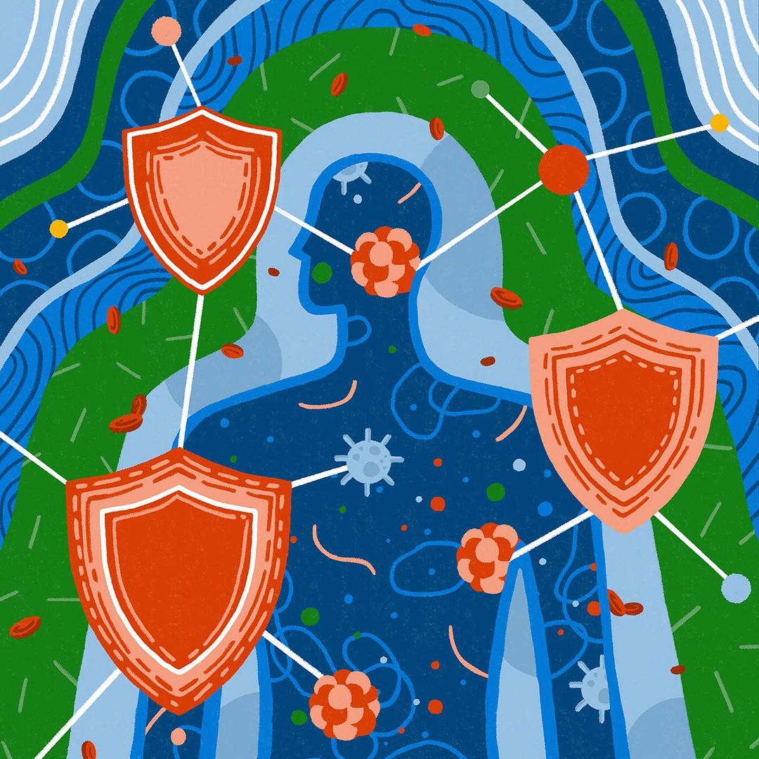 Illustration of the human body with shields connected by lines, with cellular elements in a blue and green color palette.