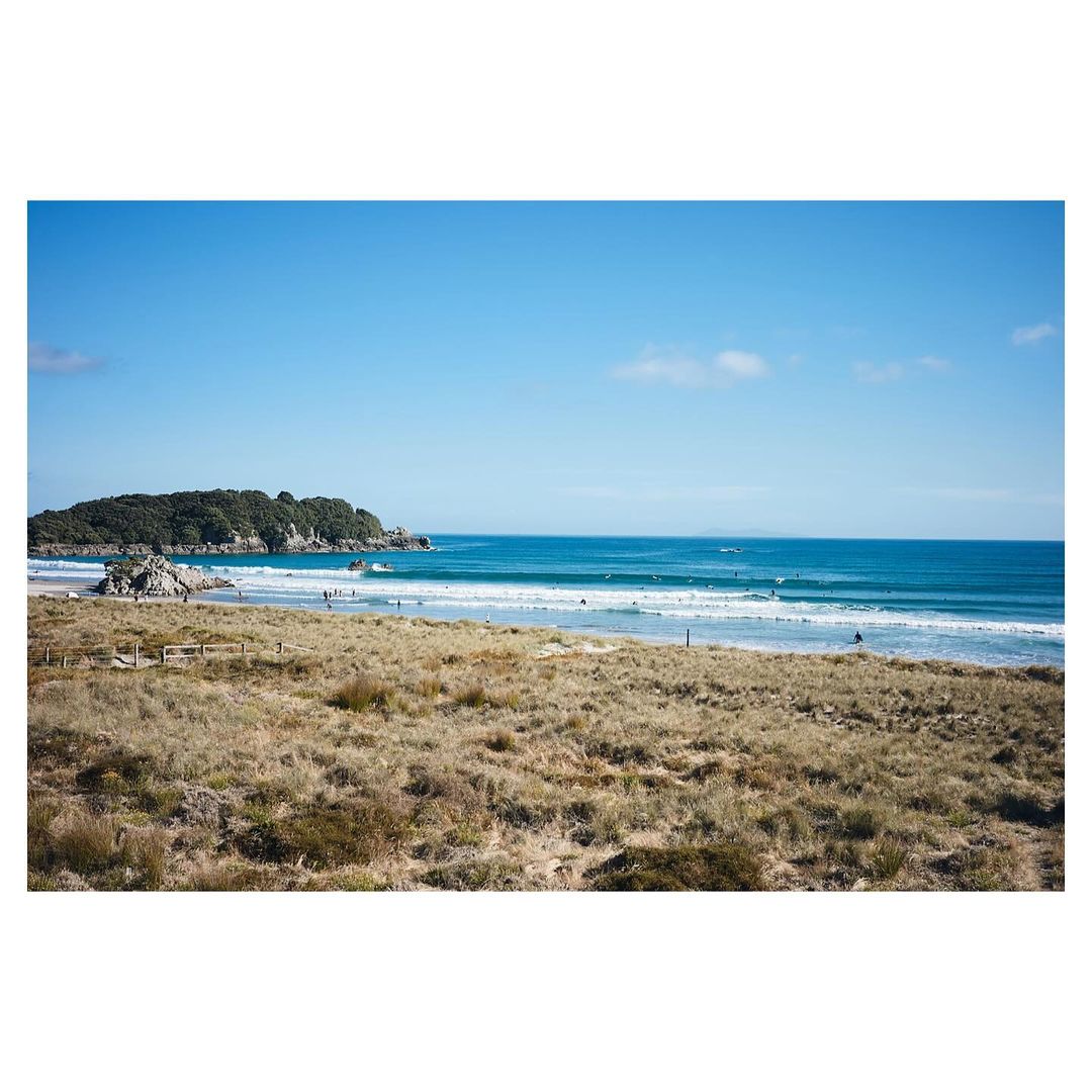 Coastal view of sandy beach with dune grass, blue sky, and calm ocean, featuring a headland with trees in the background.
