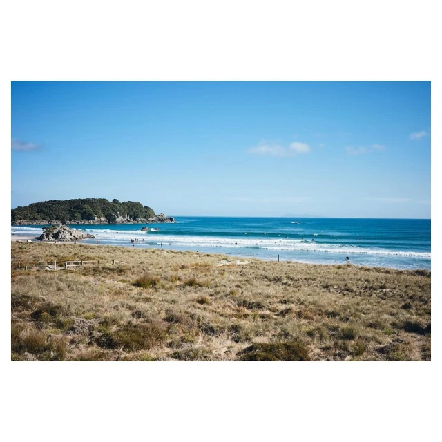Coastal view of sandy beach with dune grass, blue sky, and calm ocean, featuring a headland with trees in the background.