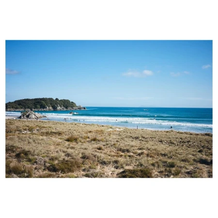 Coastal view of sandy beach with dune grass, blue sky, and calm ocean, featuring a headland with trees in the background.