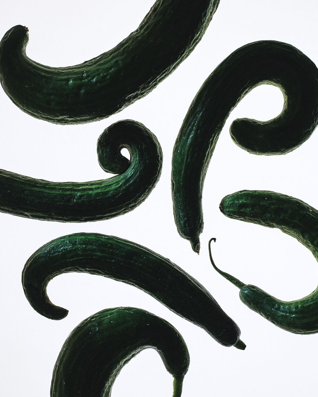 Arrangement of fresh, green cucumbers in various curved shapes against a bright white background, creating a clean, food-focused composition.