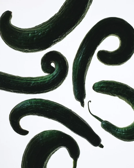 Arrangement of fresh, green cucumbers in various curved shapes against a bright white background, creating a clean, food-focused composition.